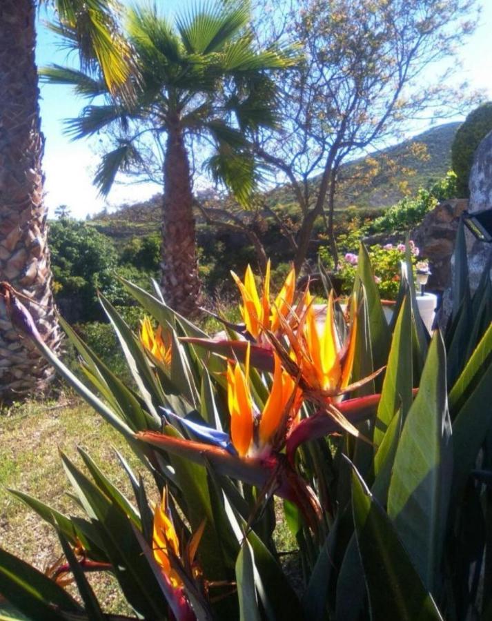 La Casita Ma Petite Folie Tenerife سانتا كروز دي تينيريف المظهر الخارجي الصورة