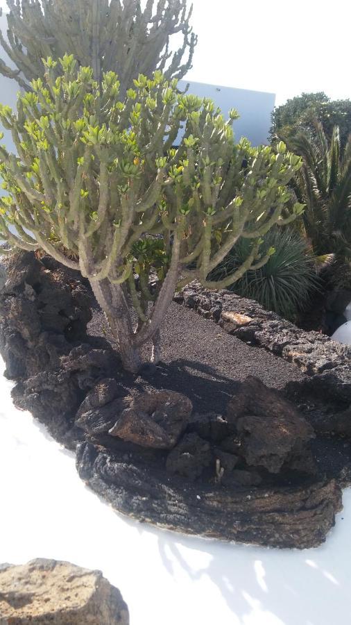 La Casita Ma Petite Folie Tenerife سانتا كروز دي تينيريف المظهر الخارجي الصورة